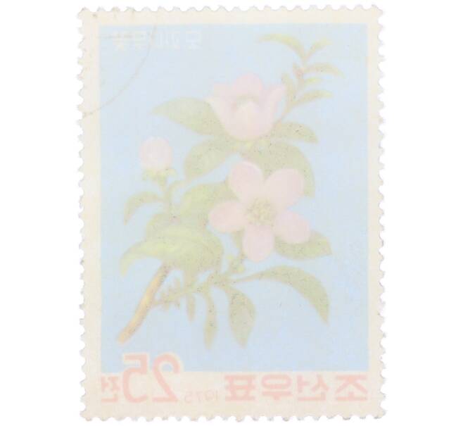 Почтовая марка 25 чон 1975 года Северная Корея «Цветы айвы китайской» (Артикул: K12-78874) — Фото №2