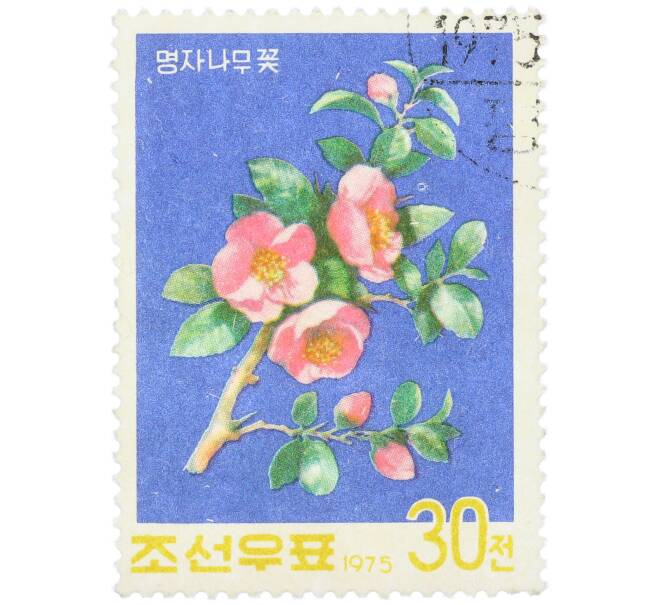 Почтовая марка 30 чон 1975 года Северная Корея «Айва японская» (Артикул: K12-78875) — Фото №1
