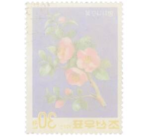 Почтовая марка 30 чон 1975 года Северная Корея «Айва японская» — Фото №2