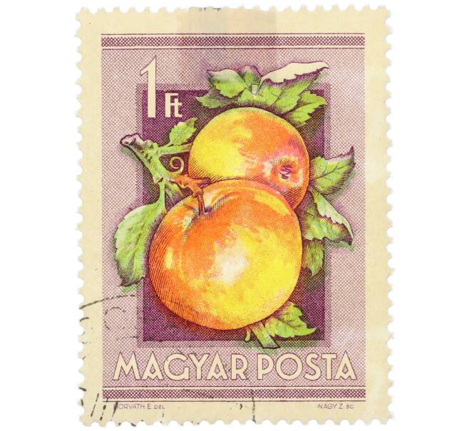 Почтовая марка 1 форинт 1954 года Венгрия «Сельскохозяйственная выставка — Яблоки» (Артикул: K12-78876) — Фото №1