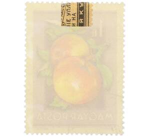 Почтовая марка 1 форинт 1954 года Венгрия «Сельскохозяйственная выставка — Яблоки» — Фото №2