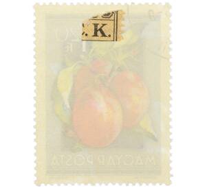 Почтовая марка 1.2 форинта 1954 года Венгрия «Сельскохозяйственная выставка — Сливы» — Фото №2