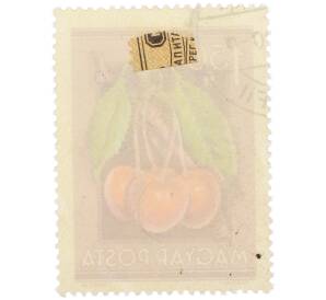 Почтовая марка 1.5 форинта 1954 года Венгрия «Сельскохозяйственная выставка — Вишня» — Фото №2