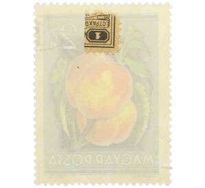 Почтовая марка 2 форинта 1954 года Венгрия «Сельскохозяйственная выставка — Персики» — Фото №2