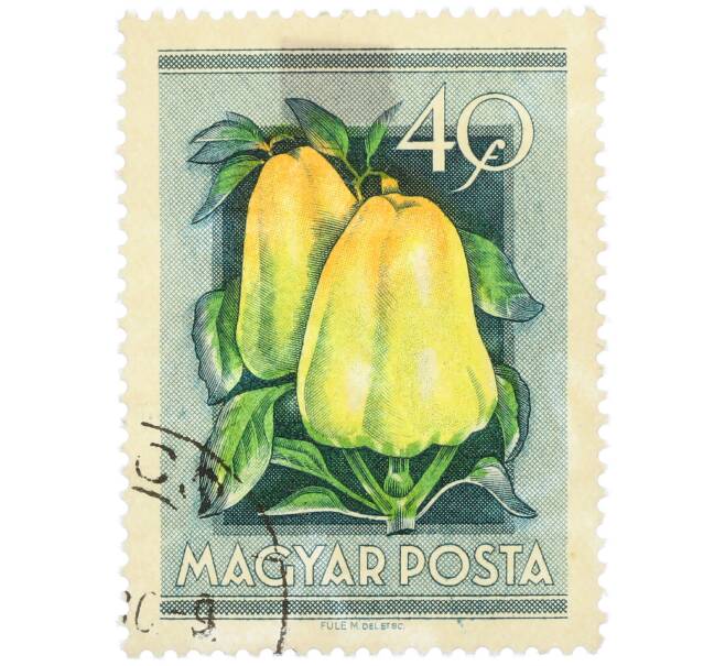 Почтовая марка 40 филлеров 1954 года Венгрия «Сельскохозяйственная выставка — Сладкий перец» (Артикул: K12-78880) — Фото №1