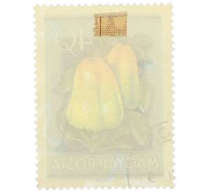 Почтовая марка 40 филлеров 1954 года Венгрия «Сельскохозяйственная выставка — Сладкий перец» — Фото №2