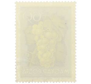 Почтовая марка 50 филлеров 1954 года Венгрия «Сельскохозяйственная выставка — Белый виноград» — Фото №2