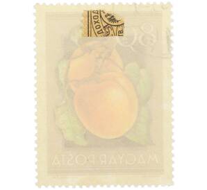 Почтовая марка 80 филлеров 1954 года Венгрия «Сельскохозяйственная выставка — Абрикосы» — Фото №2