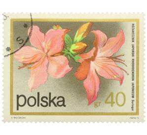 Почтовая марка 40 грошей 1972 года Польша «Цветущие кустарники — Рододендрон японский» — Фото №1