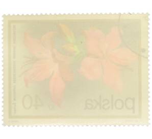 Почтовая марка 40 грошей 1972 года Польша «Цветущие кустарники — Рододендрон японский» — Фото №2