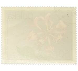 Почтовая марка 60 грошей 1972 года Польша «Цветущие кустарники — Жимолость вьющаяся» — Фото №2