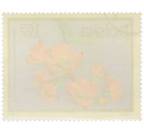 Почтовая марка 1.65 злотых 1972 года Польша «Цветущие кустарники — Айва китайская» — Фото №2