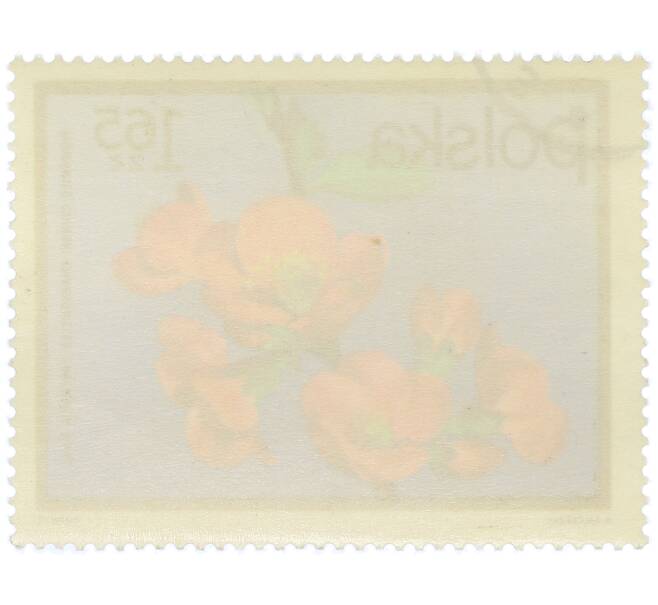 Почтовая марка 1.65 злотых 1972 года Польша «Цветущие кустарники — Айва китайская» (Артикул: K12-78887) — Фото №2