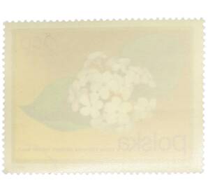 Почтовая марка 2.5 злотых 1972 года Польша «Цветущие кустарники — Калина корейская» — Фото №2