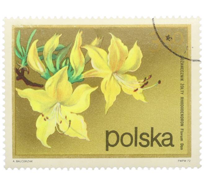 Почтовая марка 3.4 злотых 1972 года Польша «Цветущие кустарники — Рододендрон желтый» (Артикул: K12-78889) — Фото №1