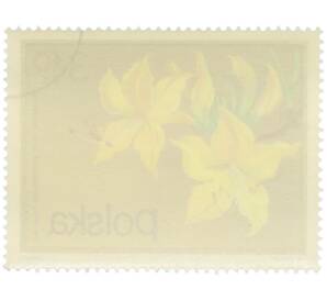 Почтовая марка 3.4 злотых 1972 года Польша «Цветущие кустарники — Рододендрон желтый» — Фото №2