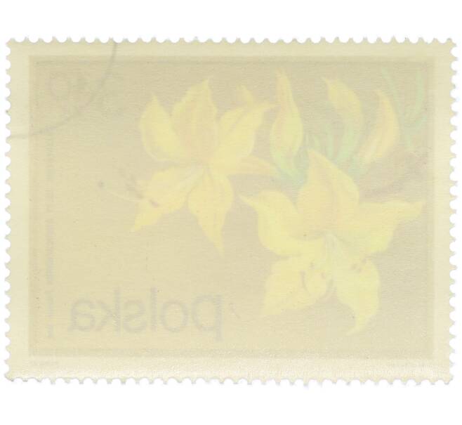 Почтовая марка 3.4 злотых 1972 года Польша «Цветущие кустарники — Рододендрон желтый» (Артикул: K12-78889) — Фото №2