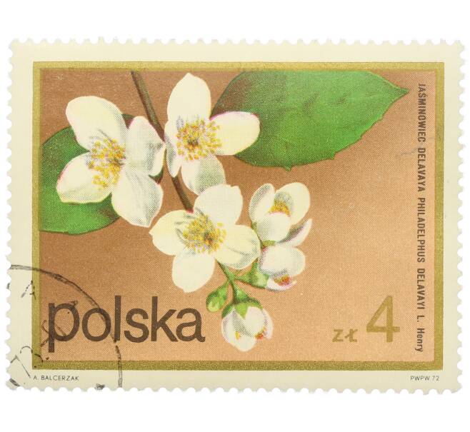 Почтовая марка 4 злотых 1972 года Польша «Цветущие кустарники — Жасмин Делавэ» (Артикул: K12-78890) — Фото №1