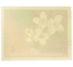 Почтовая марка 4 злотых 1972 года Польша «Цветущие кустарники — Жасмин Делавэ» — Фото №2