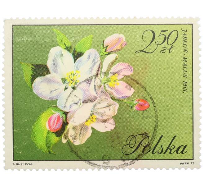 Почтовая марка 2.5 злотых 1972 года Польша «Цветы яблони лесной» (Артикул: K12-78892) — Фото №1