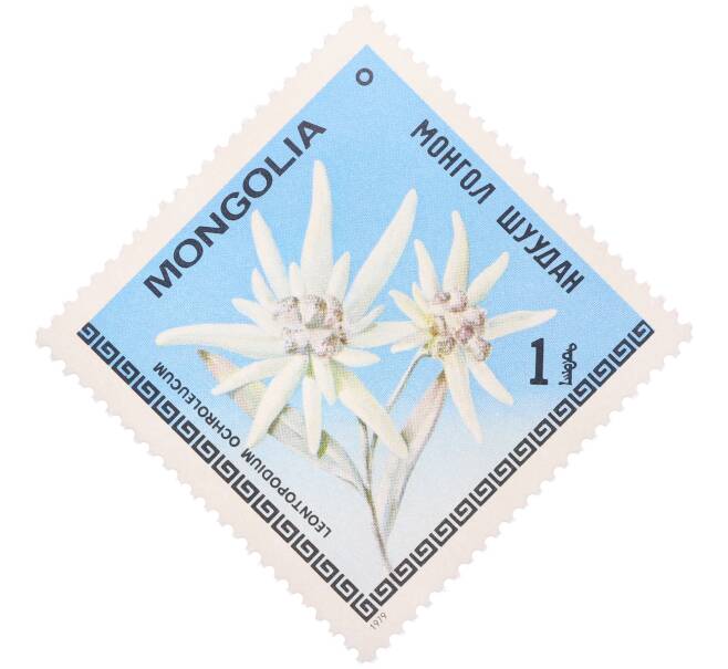 Почтовая марка 1 тугрик 1979 года Монголия «Цветы Монголии — Эдельвейс бледно-желтый» (Артикул: K12-78893) — Фото №1