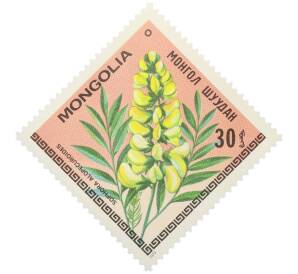 Почтовая марка 30 мунгу 1979 года Монголия «Цветы Монголии — Софора лисохвостная» — Фото №1