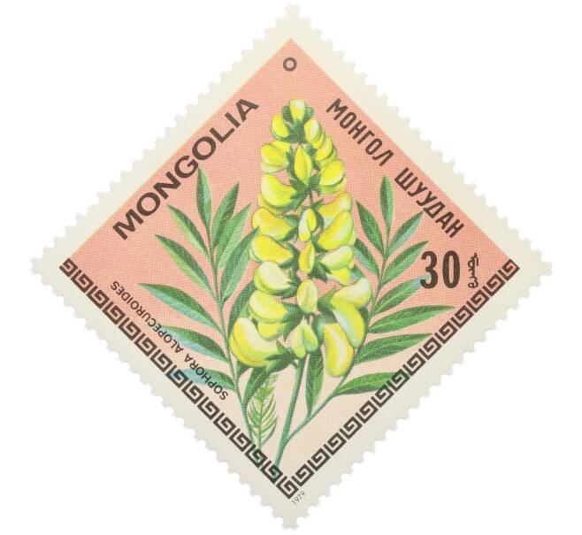 Почтовая марка 30 мунгу 1979 года Монголия «Цветы Монголии — Софора лисохвостная» (Артикул: K12-78894) — Фото №1