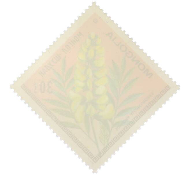 Почтовая марка 30 мунгу 1979 года Монголия «Цветы Монголии — Софора лисохвостная» (Артикул: K12-78894) — Фото №2