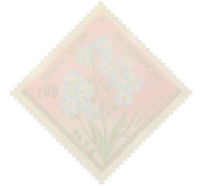 Почтовая марка 60 мунгу 1979 года Монголия «Цветы Монголии — Незабудка азиатская» (Артикул: K12-78896) — Фото №2