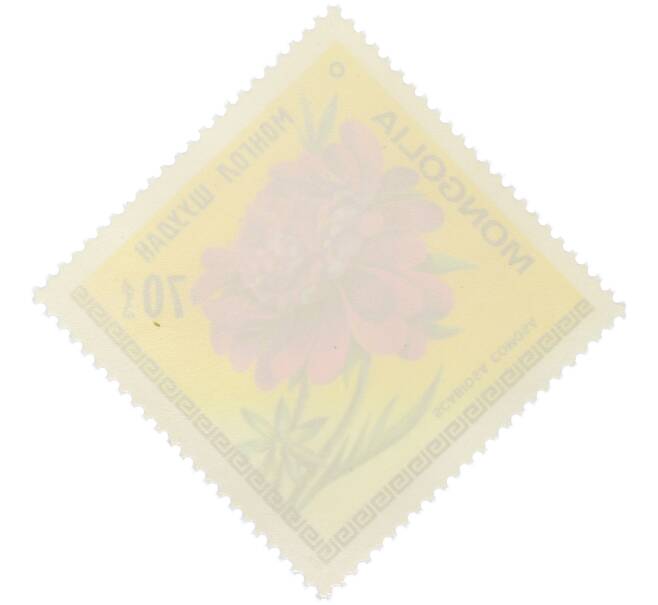 Почтовая марка 70 мунгу 1979 года Монголия «Цветы Монголии — Скабиоза волосистая» (Артикул: K12-78898) — Фото №2