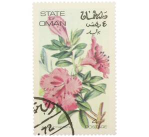 Марка 4 байза 1972 года Оман «Азалия криспифлора» — Фото №1