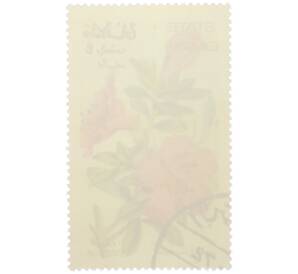 Марка 4 байза 1972 года Оман «Азалия криспифлора» — Фото №2