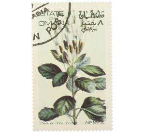 Марка 8 байз 1972 года Оман «Цветковые растения кантуа» (Надпись авиапочты) — Фото №1