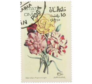 Марка 15 байз 1972 года Оман «Фламандские Гвоздики» (Надпись авиапочты) — Фото №1
