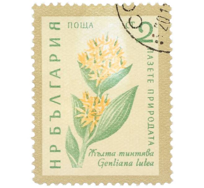Почтовая марка 2 стотинки 1960 года Болгария «Охрана природы — Желтая горечавка» (Артикул: K12-78908) — Фото №1
