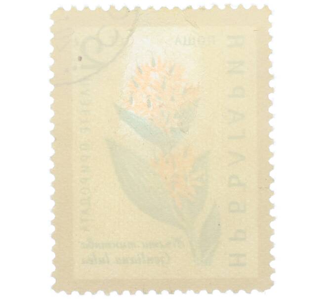 Почтовая марка 2 стотинки 1960 года Болгария «Охрана природы — Желтая горечавка» (Артикул: K12-78908) — Фото №2