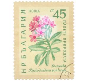 Почтовая марка 45 стотинок 1960 года Болгария «Охрана природы — Рододендрон понтийский» — Фото №1