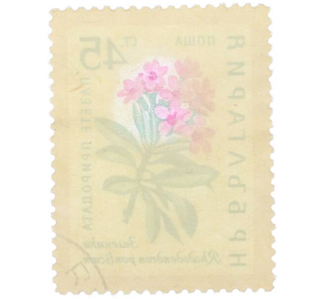 Почтовая марка 45 стотинок 1960 года Болгария «Охрана природы — Рододендрон понтийский» (Артикул: K12-78911) — Фото №2