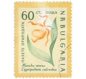 Почтовая марка 60 стотинок 1960 года Болгария «Охрана природы — Венерин башмачок» — Фото №1