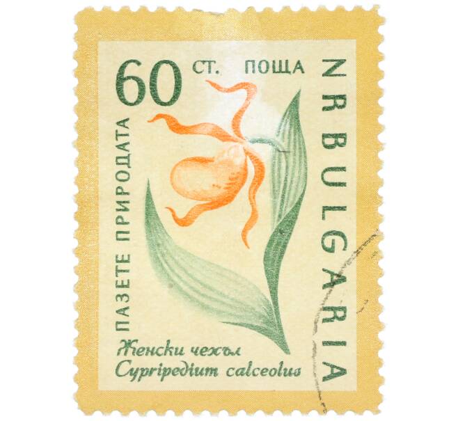 Почтовая марка 60 стотинок 1960 года Болгария «Охрана природы — Венерин башмачок» (Артикул: K12-78912) — Фото №1