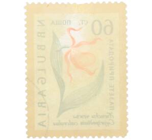 Почтовая марка 60 стотинок 1960 года Болгария «Охрана природы — Венерин башмачок» — Фото №2