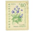 Почтовая марка 80 стотинок 1960 года Болгария «Охрана природы — Родопская хаберлея» (Артикул: K12-78913) — Фото №1