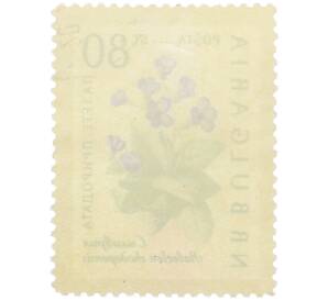 Почтовая марка 80 стотинок 1960 года Болгария «Охрана природы — Родопская хаберлея» — Фото №2