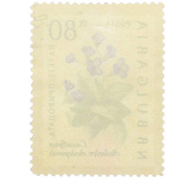 Почтовая марка 80 стотинок 1960 года Болгария «Охрана природы — Родопская хаберлея» (Артикул: K12-78913) — Фото №2