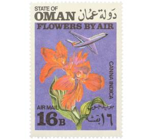 Марка 16 байз 1972 года Оман «Цветы самолетом — Канна индийская» (Надпись авиапочты) — Фото №1