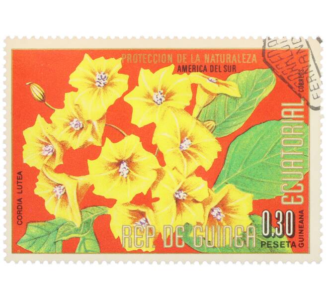 Почтовая марка 0.3 песеты 1976 года Экваториальная Гвинея «Охрана природы — Кордия желтая» (Артикул: K12-79040) — Фото №1