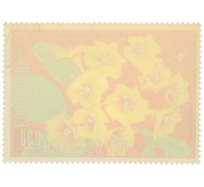 Почтовая марка 0.3 песеты 1976 года Экваториальная Гвинея «Охрана природы — Кордия желтая» (Артикул: K12-79040) — Фото №2