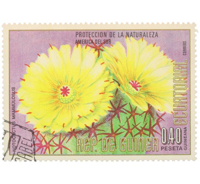 Почтовая марка 0.4 песеты 1976 года Экваториальная Гвинея «Охрана природы — Пародия сосочковая» (Артикул: K12-79041) — Фото №1