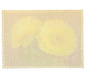 Почтовая марка 0.4 песеты 1976 года Экваториальная Гвинея «Охрана природы — Пародия сосочковая» — Фото №2