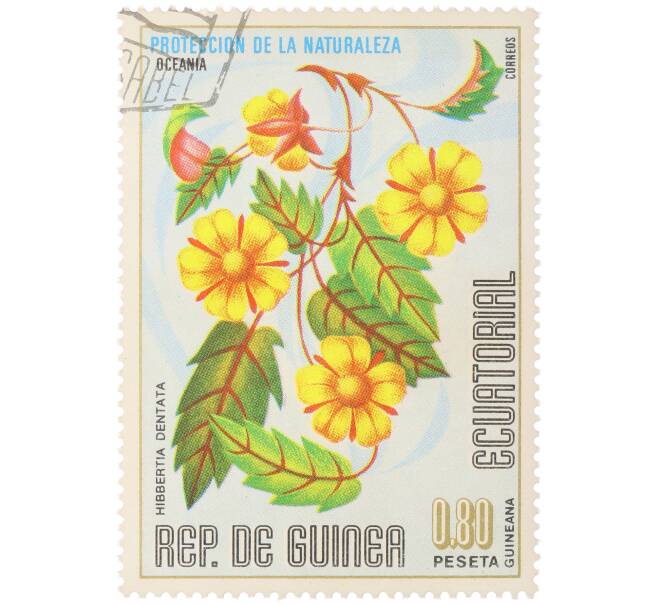 Почтовая марка 0.8 песеты 1976 года Экваториальная Гвинея «Охрана природы — Гиббертия зубчатая» (Артикул: K12-79042) — Фото №1